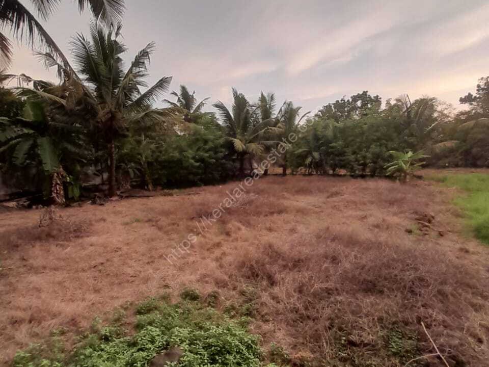 Residential Plots for Sale at Kottayam Kerala Real Estate