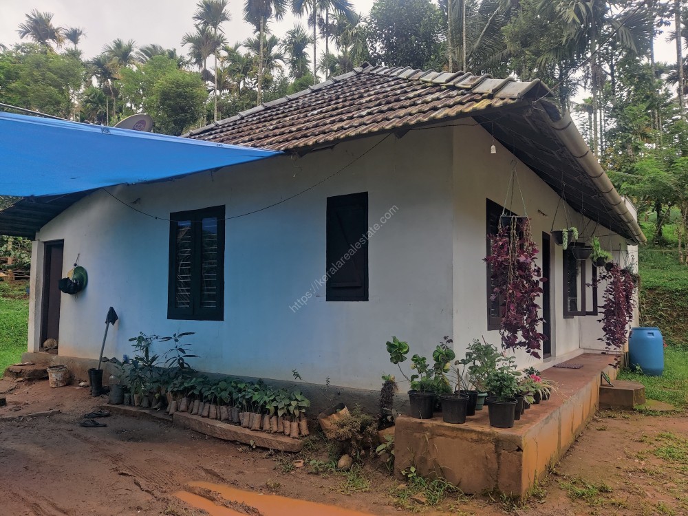 FARM AND FARMHOUSE FOR SALE AT MEENANGADI, WAYANAD Kerala Real Estate