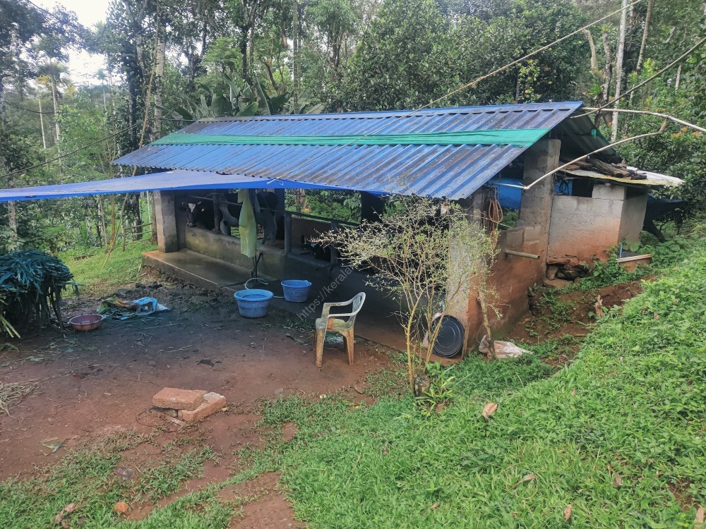 FARM AND FARMHOUSE FOR SALE AT MEENANGADI, WAYANAD Kerala Real Estate