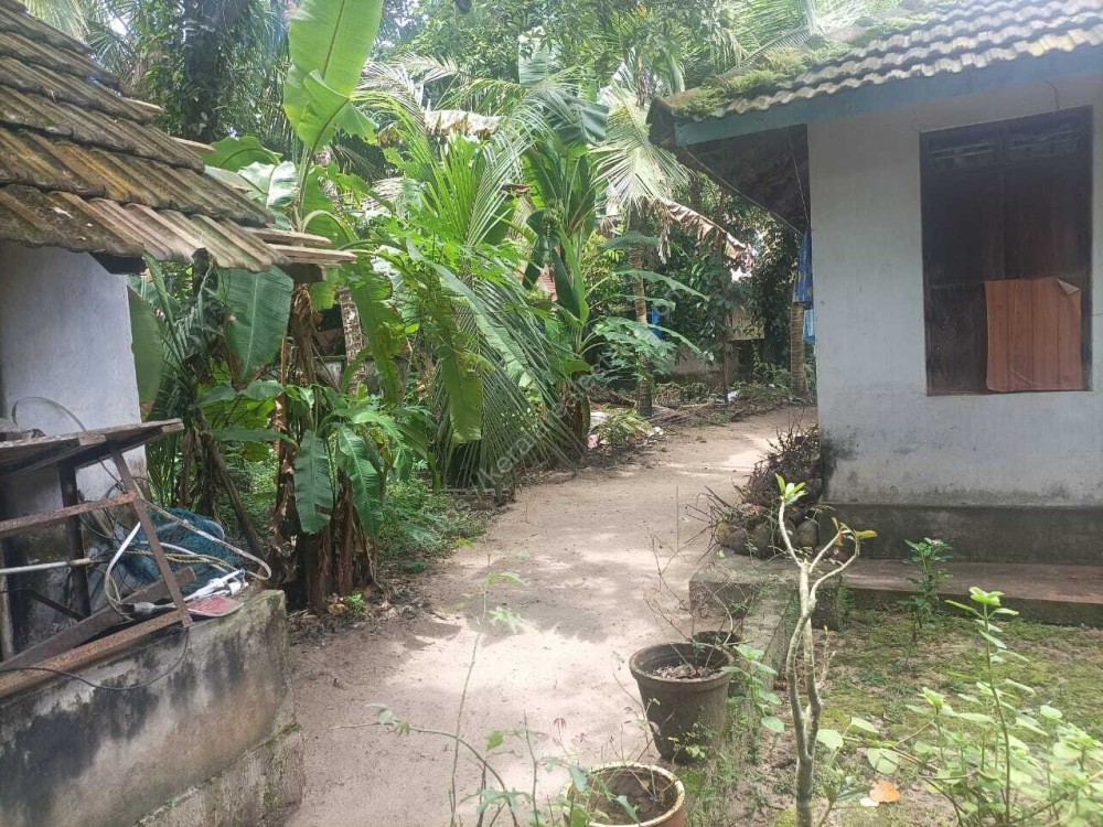 House Plots for Sale at Tripunithura, Ernakulam Kerala Real Estate