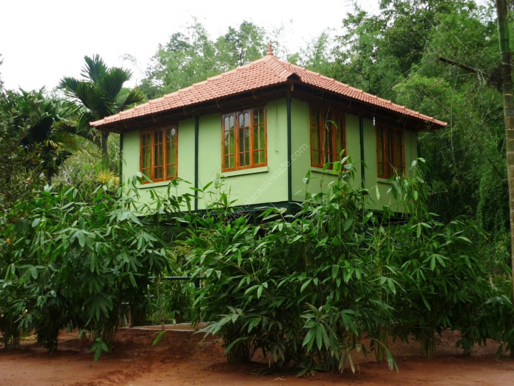 TIMESHARE COTTAGES IN 5 CENTS FOR SALE AT KENICHIRA, WAYANAD Kerala
