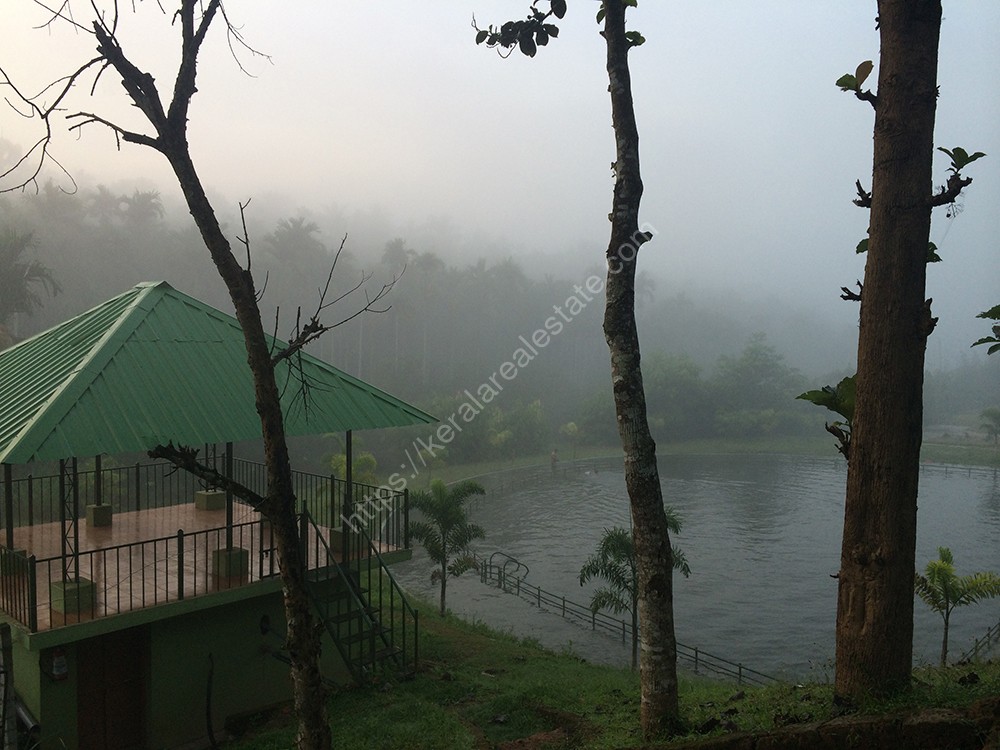 TIMESHARE COTTAGES IN 5 CENTS FOR SALE AT KENICHIRA, WAYANAD Kerala