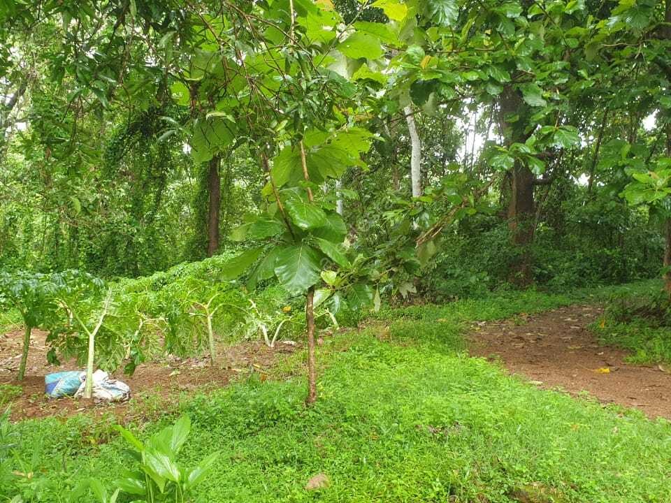 1 81 Acres Of Land With 1600 Sq Ft House For Sale At Aloor Thrissur 