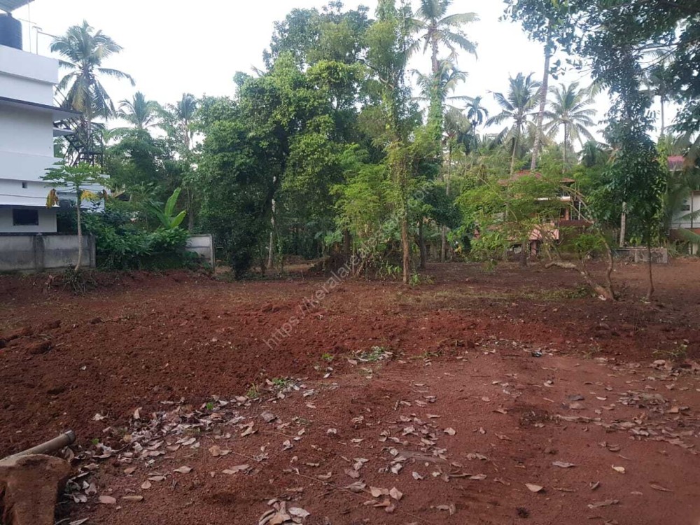 55 Cents of Residential Land for Sale at Olari, Thrissur Kerala Real