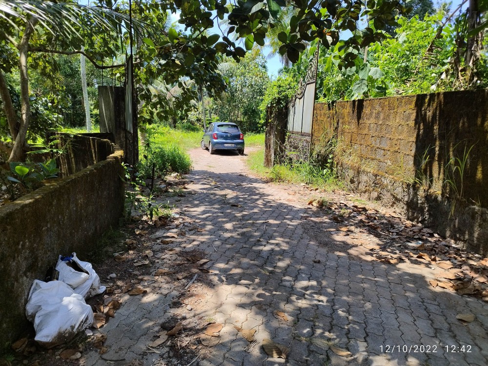 Residential Plots for Sale Near Infopark, Kakkanad, Kochi Kerala Real