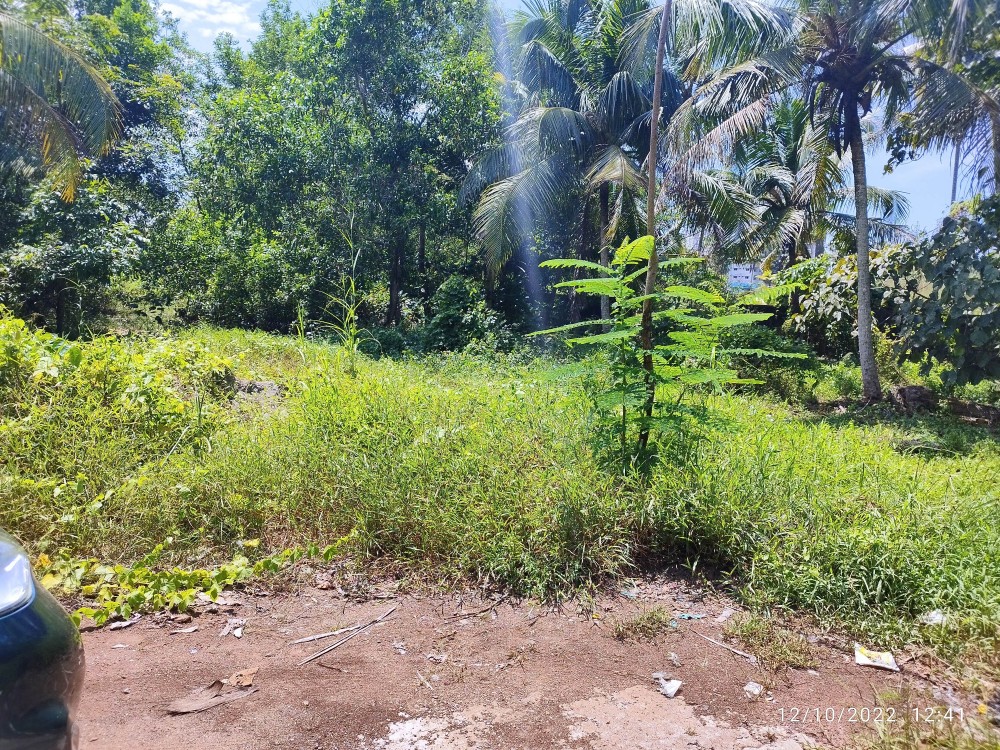 Residential Plots for Sale Near Infopark, Kakkanad, Kochi Kerala Real