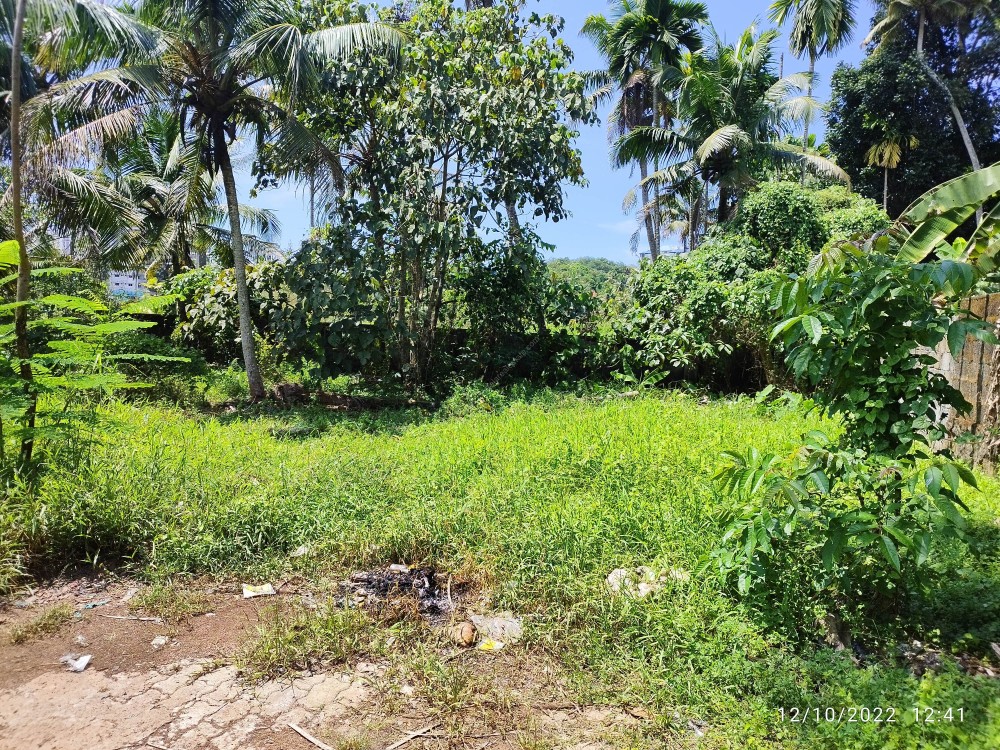 Residential Plots for Sale Near Infopark, Kakkanad, Kochi Kerala Real