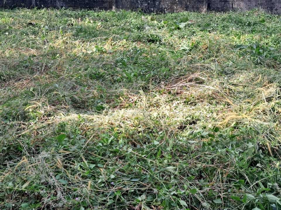 5 Cents of Plot for Sale at Mannanthala, Kallayam, Trivandrum Kerala