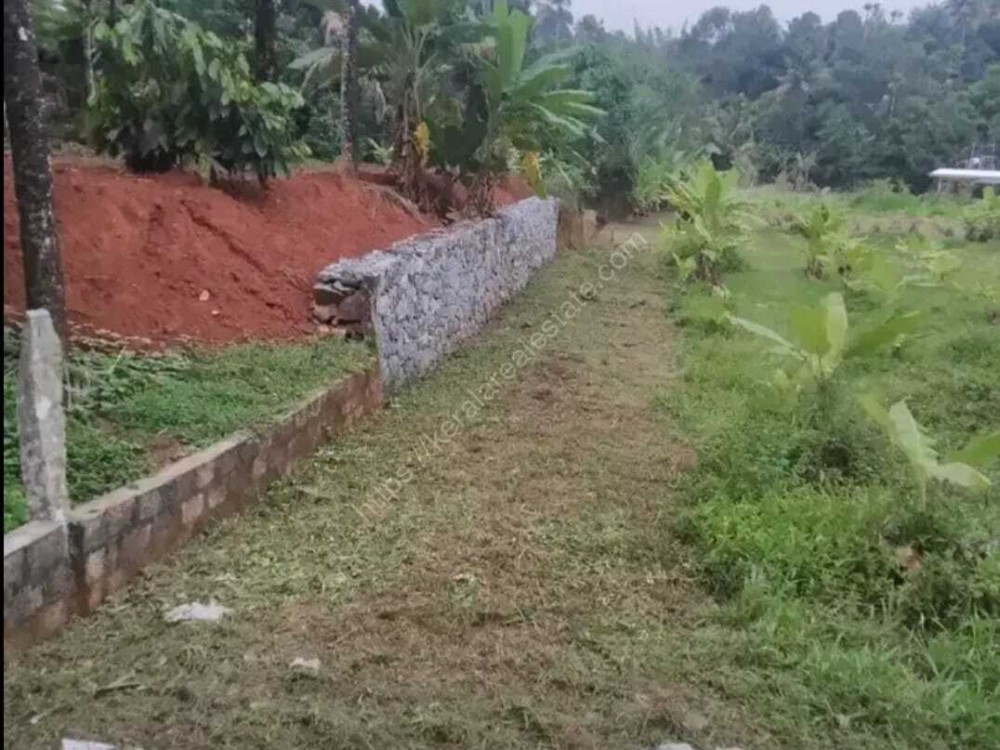 First slide