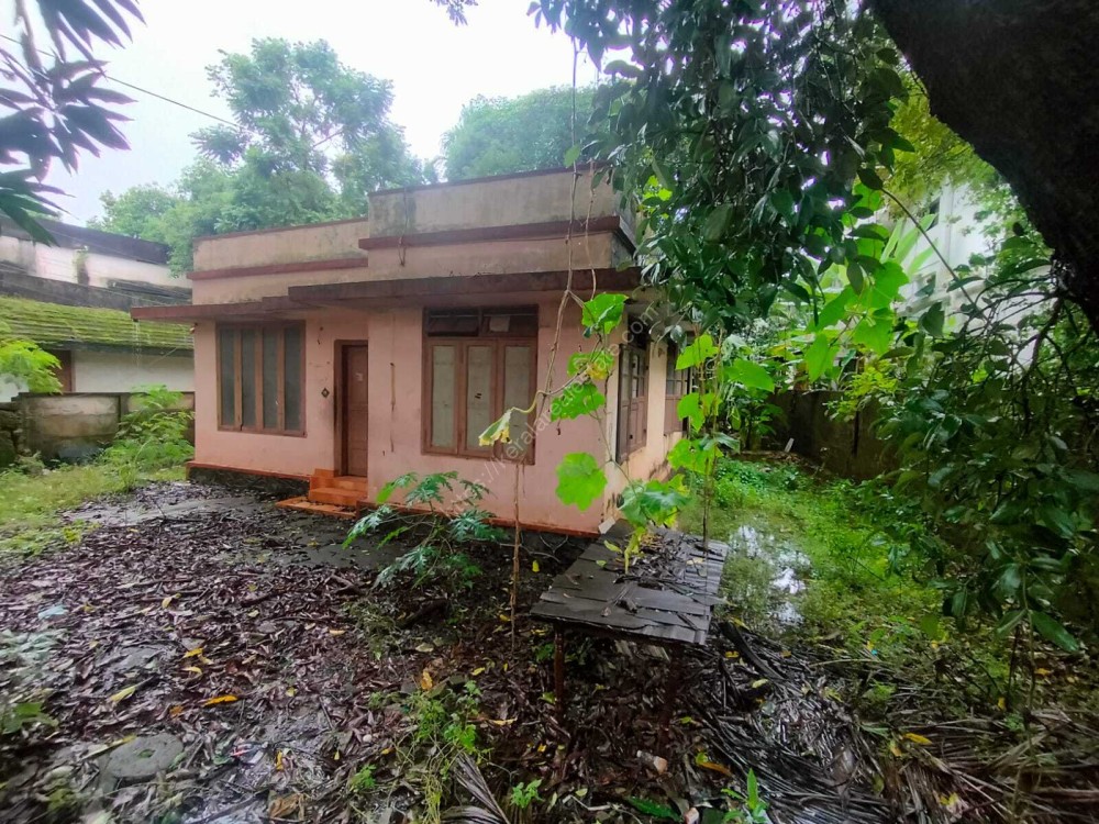 Olx flats for sale in 10 12 lakhs clearance