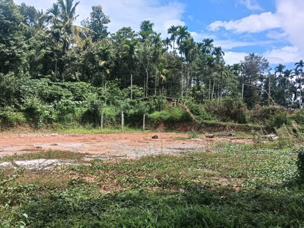 First slide