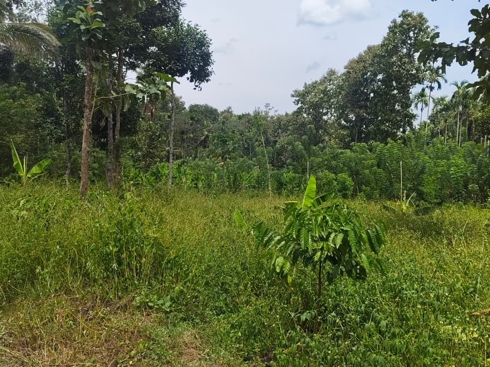 First slide
