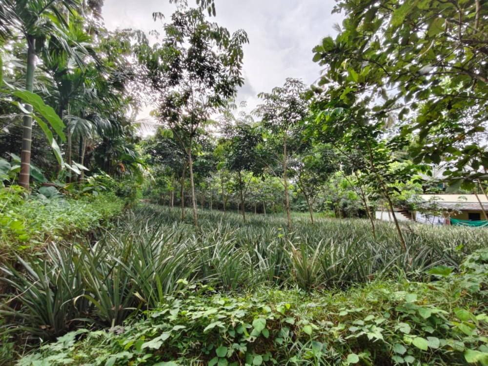 First slide