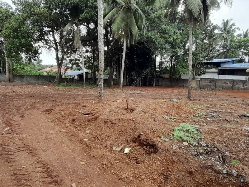 Land for Sale at Valiyakulam, Changanacherry, Kottayam