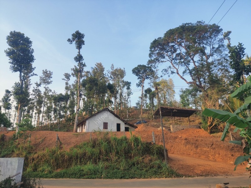 2.3 Acres of Plantation for Sale at Ambalavayal, Wayanad