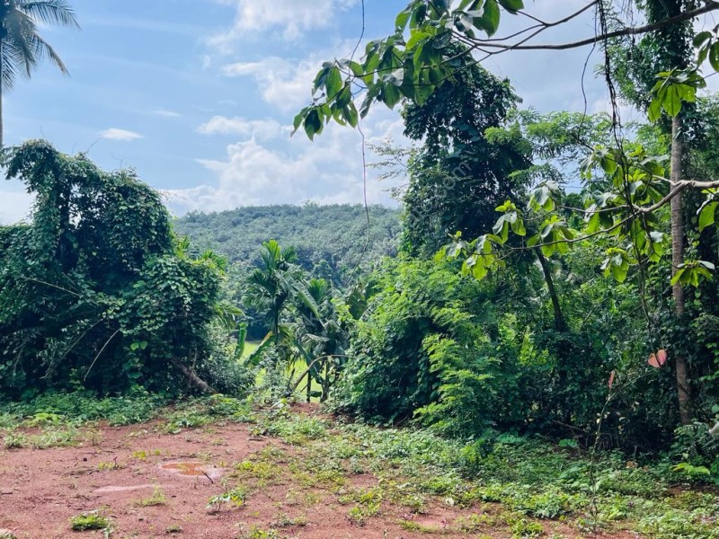 50 Cents of Residential Plot for Sale at Kongad, Palakkad