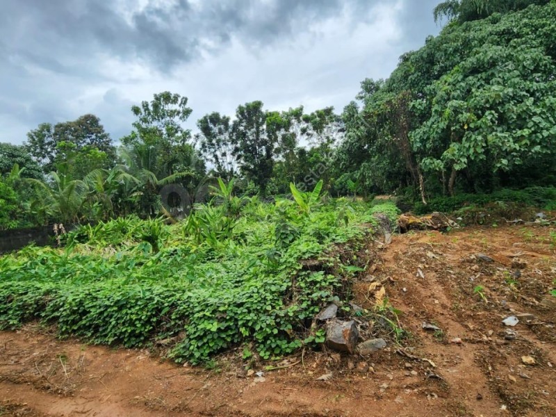 1200 Sqft 3 BHK House on 15 Cents of land for sale at Pala,Kottyam