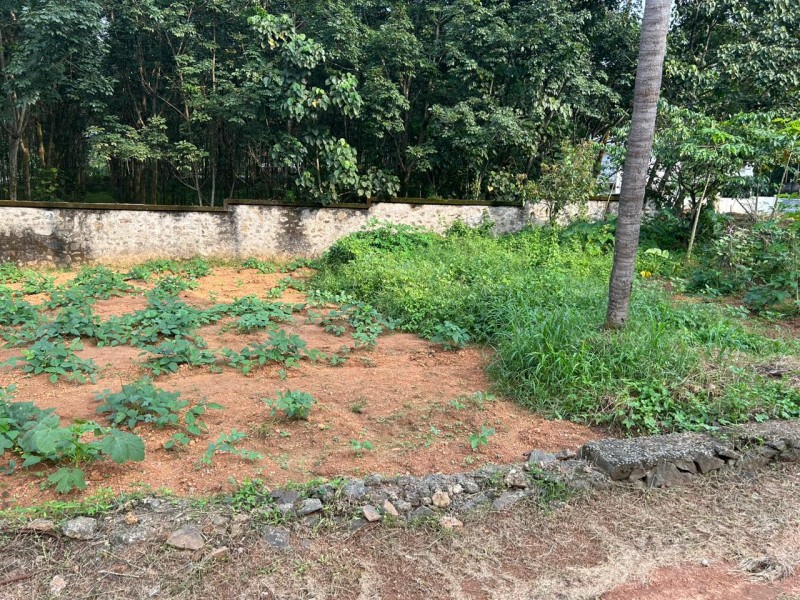 10 Cents of Prime Residential Land for Sale at Mattakuzhy, Near Puthencruz, Ernakulam