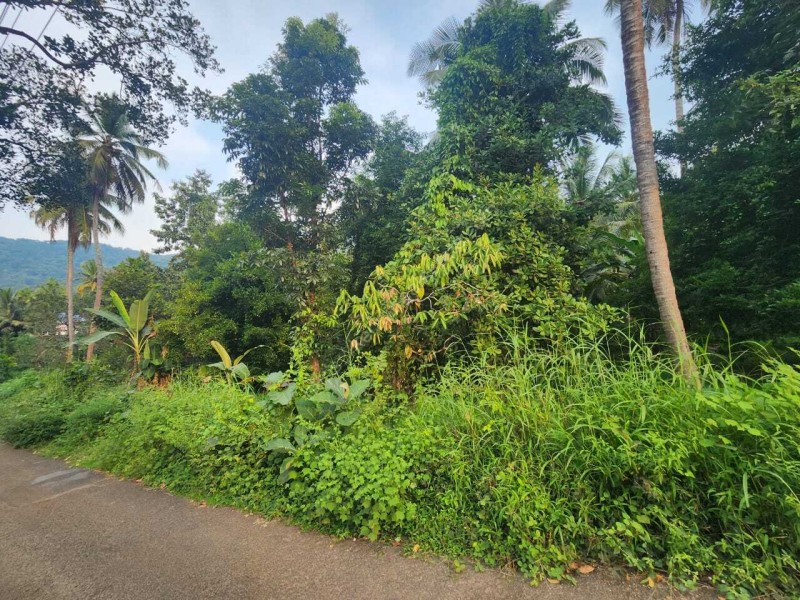 1 Acre of Residential cum Commercial Land for Sale at Vazhukkumpara, Thrissur