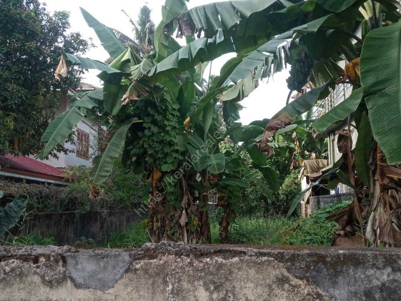 15.09 Cents of Prime Residential Land for Sale at Kaloor, Ernakulam