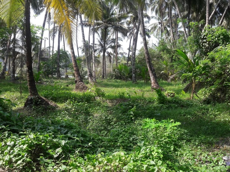 45 Cents of Residential Land for Sale at Elathur, Calicut