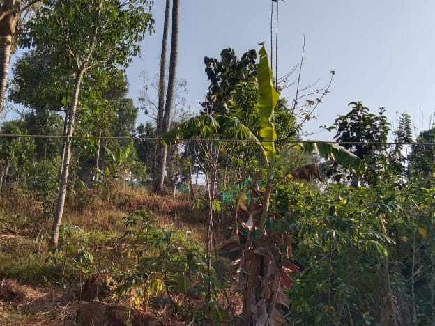 Residential Land for Sale at Kunjithanni, Munnar, Idukki
