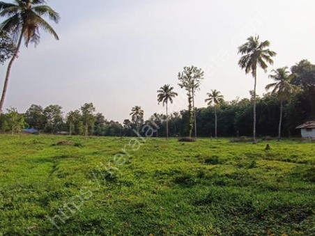 Land for Sale at Nooranad, Alappuzha