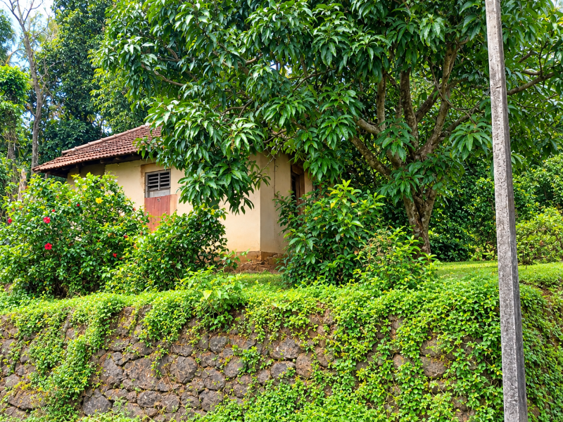 Land with an Old House for Sale at Konni, Pathanamthitta