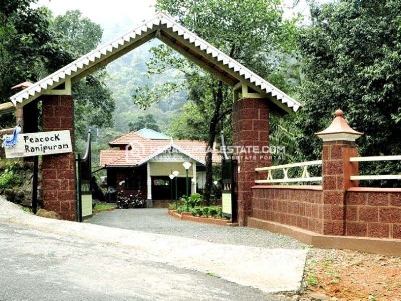 Scenic Land for Sale Near Ranipuram Tourist Resort, Kasargod