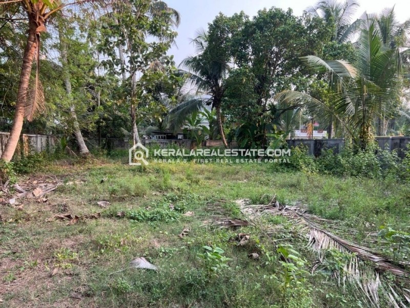 Prime Residential Land for sale at  Vaduthala, Arookutty, Alappuzha