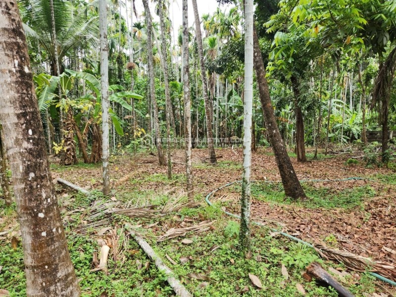 Residential Land for Sale at Kunnamkulam, Thrissur