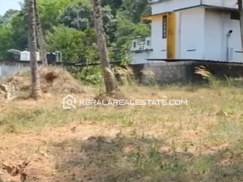 Commercial Plot for Sale in Thekkada, Vembayam,  Trivandrum 