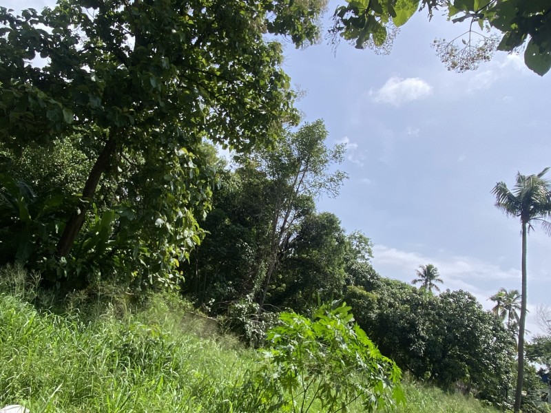 Prime Commercial Land for Sale in Chathannoor,  Erancherry, Kollam 