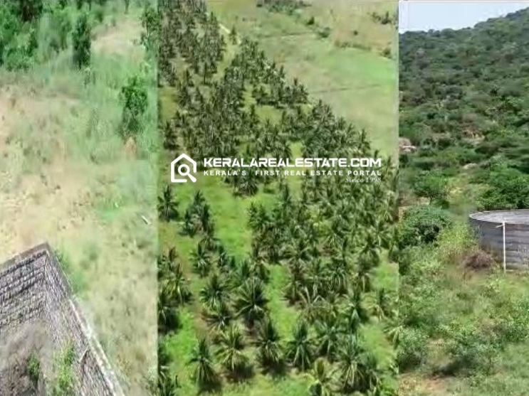 Prime Agricultural Land for Sale in Palani, Dindigul, Tamilnadu 