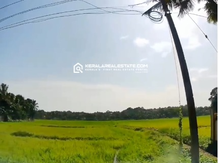 Independent Villa Plots for Sale in Chottanikkara, Ernakulam