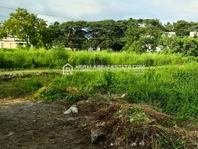 Prime Residential Land for Sale in Yakkara, Palakkad
