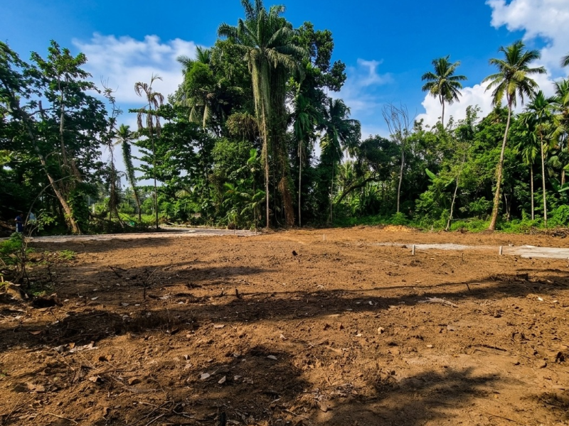 Residential Plots for Sale in Manjummel, Ernakulam