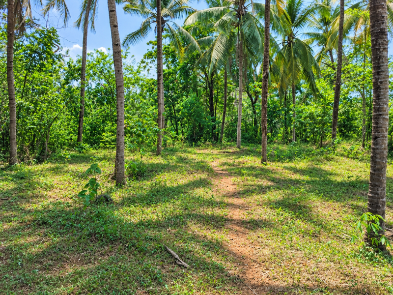 Land for Sale in Kunnamkulam, Thrissur