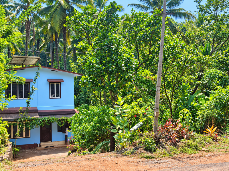 25 Cents Land with 3 BHK House for Sale in Kolakkad, Wayanad