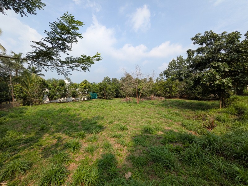 Plantation Estate with Two Farmhouses for Sale in Manalady, Attoor, Thrissur