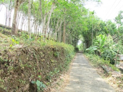 1 Acre Rubber Estate For Sale At Konni Pathanamthitta Kerala Real Estate