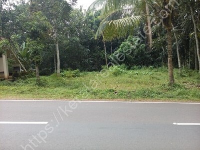 2 Acre 94 Cents Land for Sale at Ernakulam NH Bypass Road Frontage