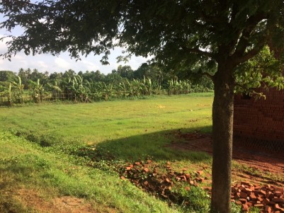 3.5 Acre Land for sale  near Cochin International Airport, Ernakulam