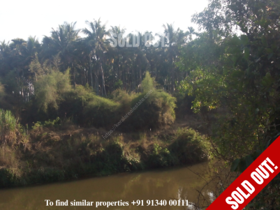 10 Acres of Farm land for sale at Kalpetta, Wayanad