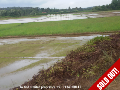 10 Acres of Paddy field for sale at Meenangadi, Wayanad 