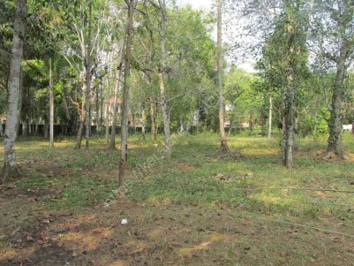 52 cent land for sale at Malakkara, Aranmula, Pathanamthitta