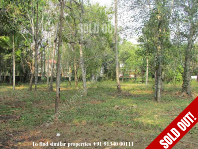 52 cent land for sale at Malakkara, Aranmula, Pathanamthitta