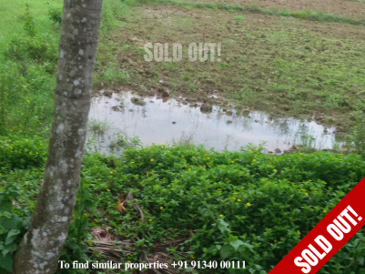 5 Acres of Paddy field for sale at Mananthavady, Wayanad