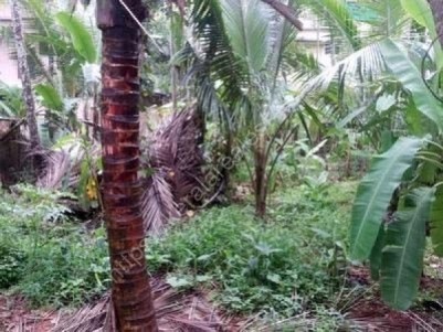 Residential  Land With House for sale at Kozhikode