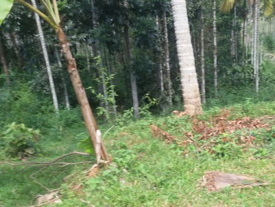 Residential land for sale at Meenangadi, Wayanad